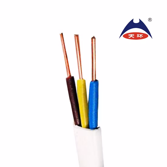 Electric Wire BV Wire BVV Wire Single Wire Single Cable Power Cable RV Rvv Cable Copper Flexible Cable Electric Wire