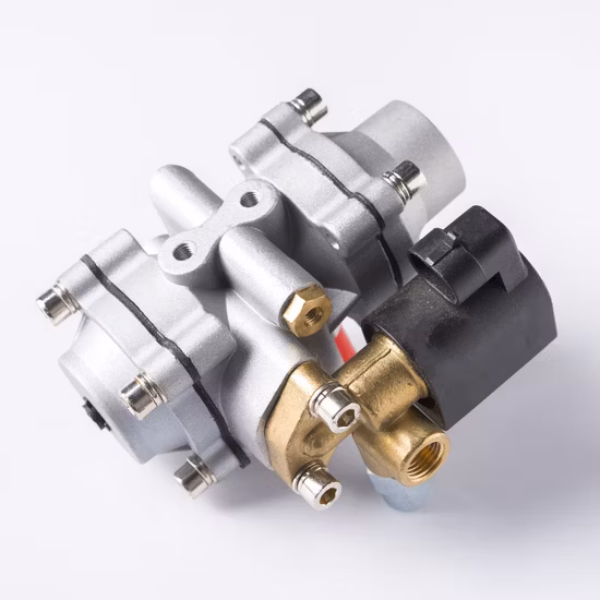 Wholesale Cars Accessories CNG Reducer At12 At04 At98 for Aotogas